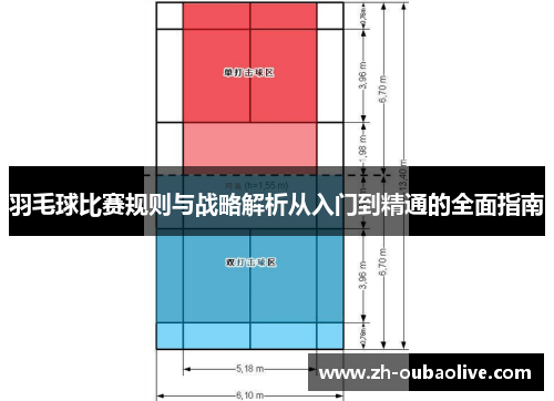 羽毛球比赛规则与战略解析从入门到精通的全面指南