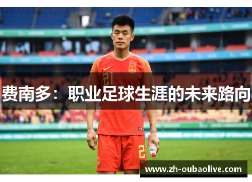 费南多：职业足球生涯的未来路向