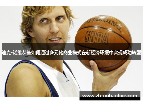 迪克·诺维茨基如何通过多元化商业模式在新经济环境中实现成功转型