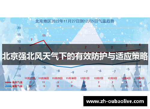 北京强北风天气下的有效防护与适应策略