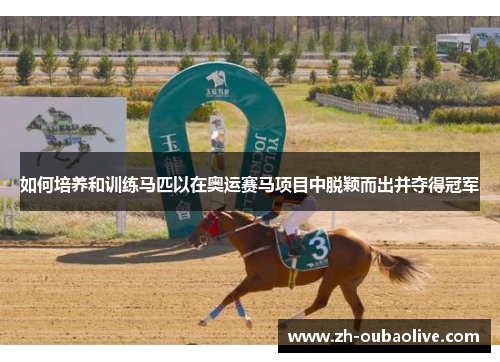 如何培养和训练马匹以在奥运赛马项目中脱颖而出并夺得冠军