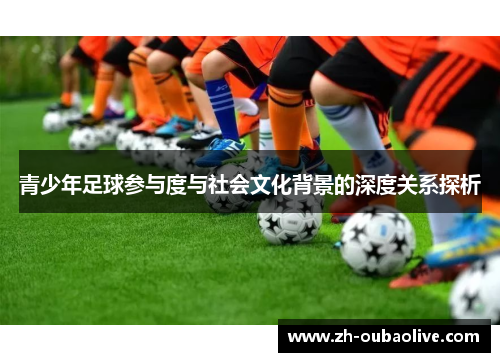 青少年足球参与度与社会文化背景的深度关系探析