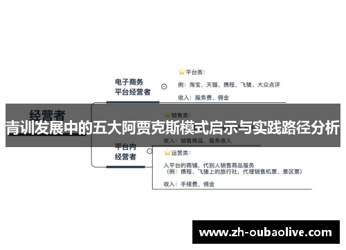 青训发展中的五大阿贾克斯模式启示与实践路径分析